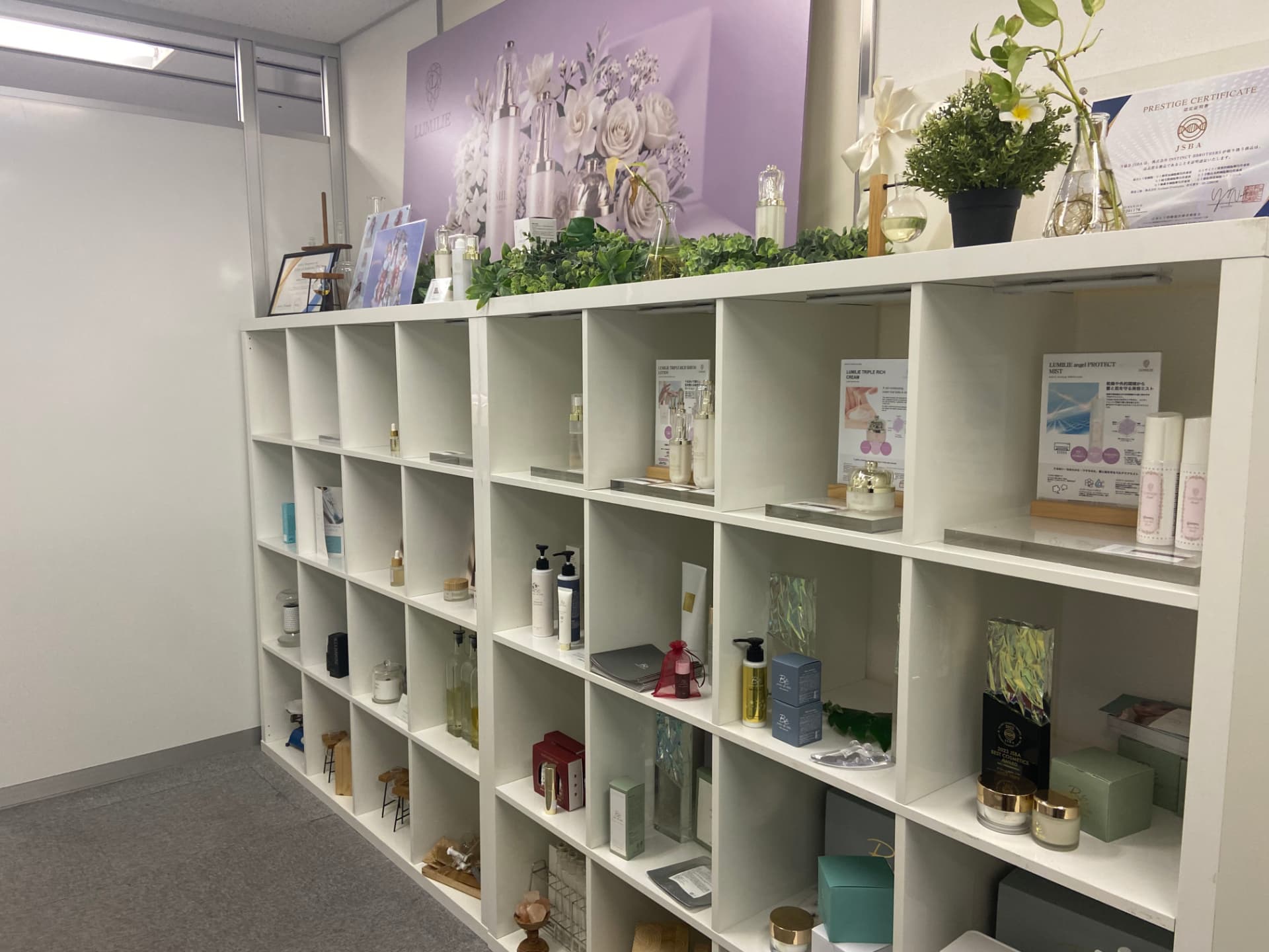 LUMILIE and group products lined up in the showroom.