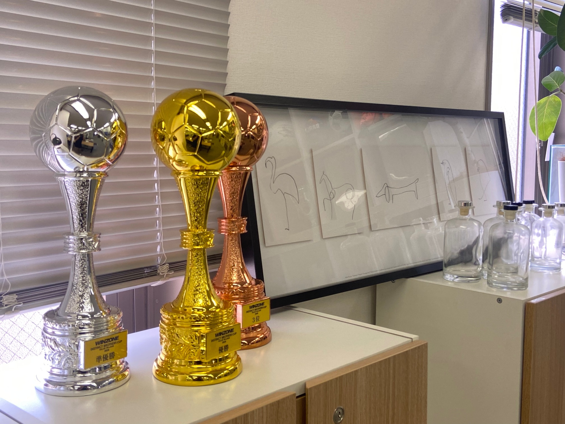 Trophies from the INSTINCT BROTHERS CUP at VALUE VILLAGE.