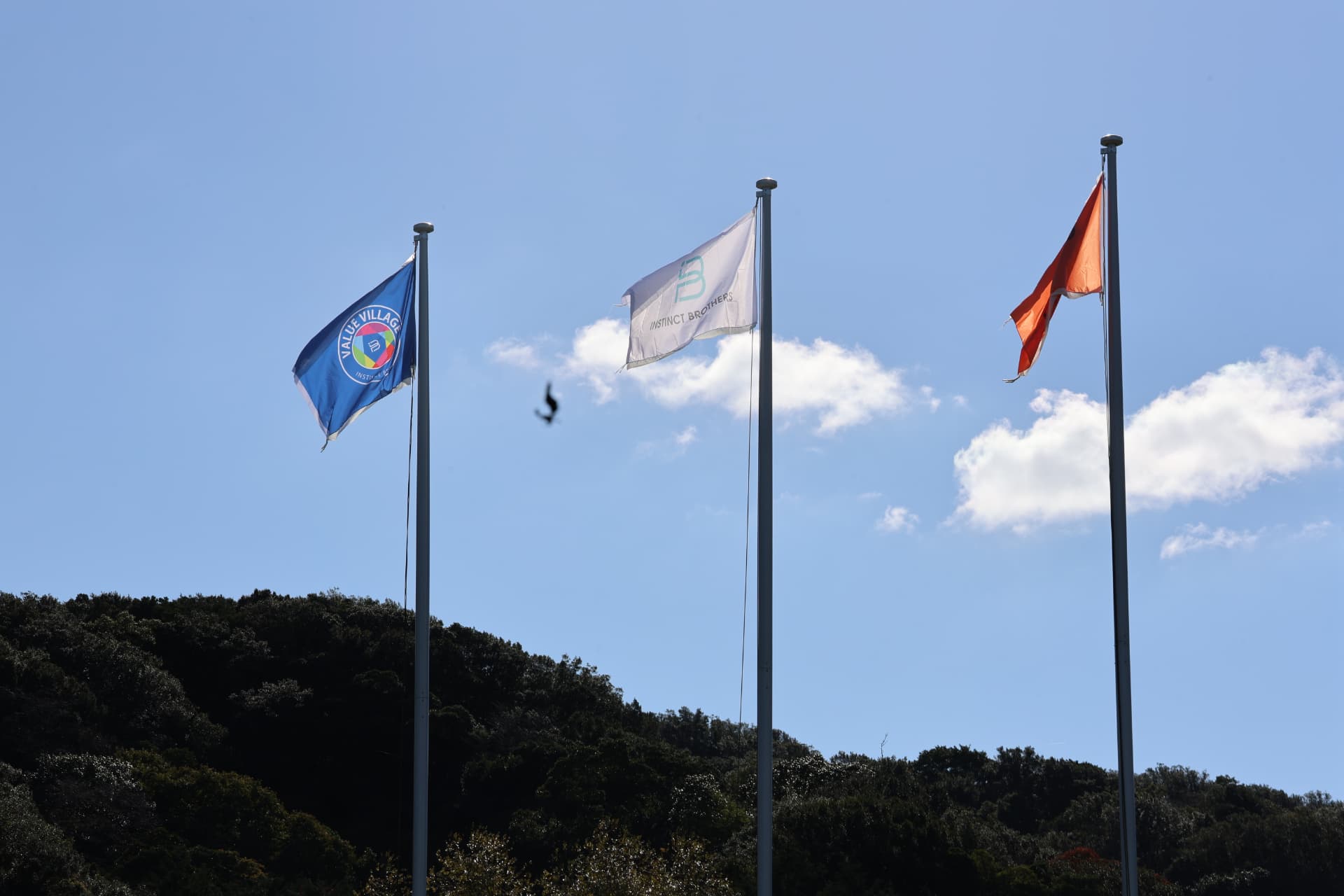 INSTINCT BROTHERS and VALUE VILLAGE flags flying over the group's sports field.